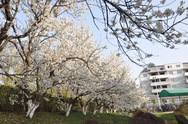 clip_image005.jpg 图片