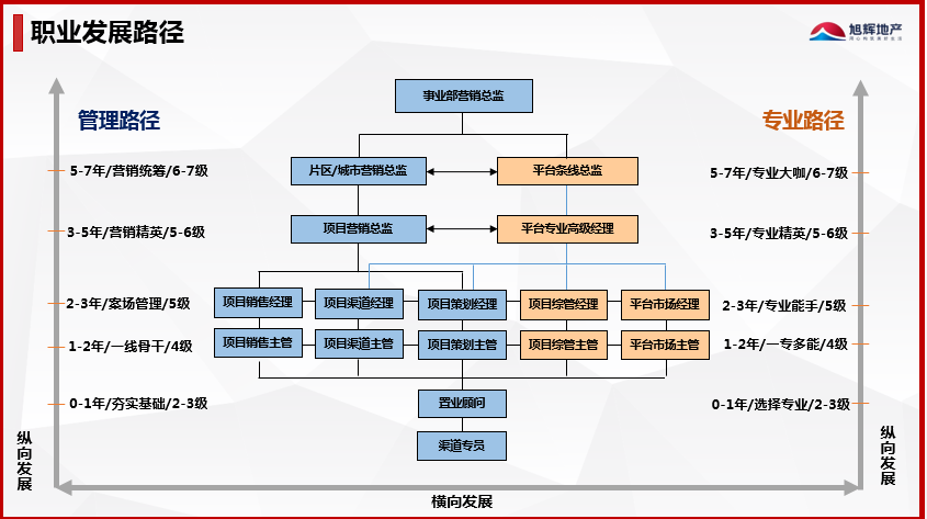 职业发展路径.png