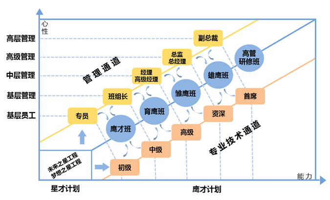 发展路径