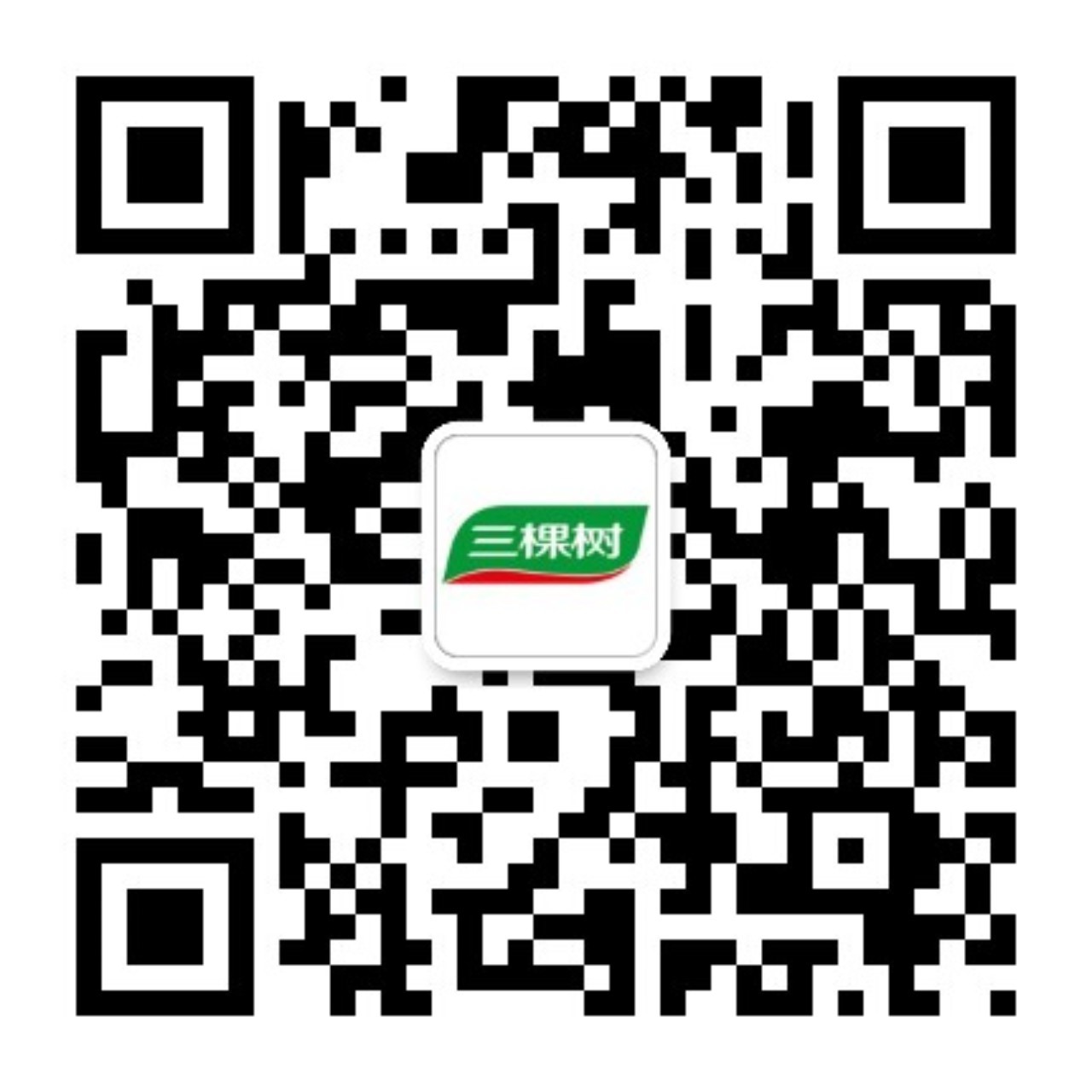 三棵树1.jpg
