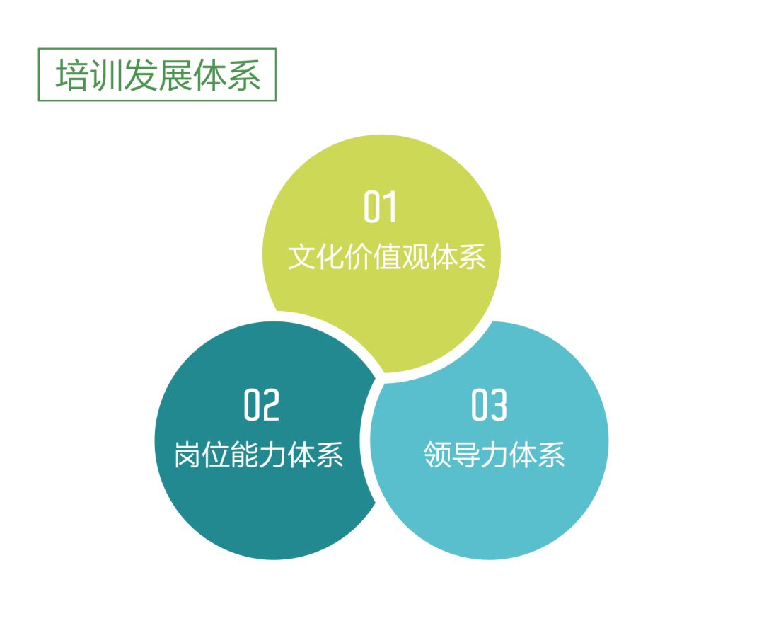 培训体系.jpg