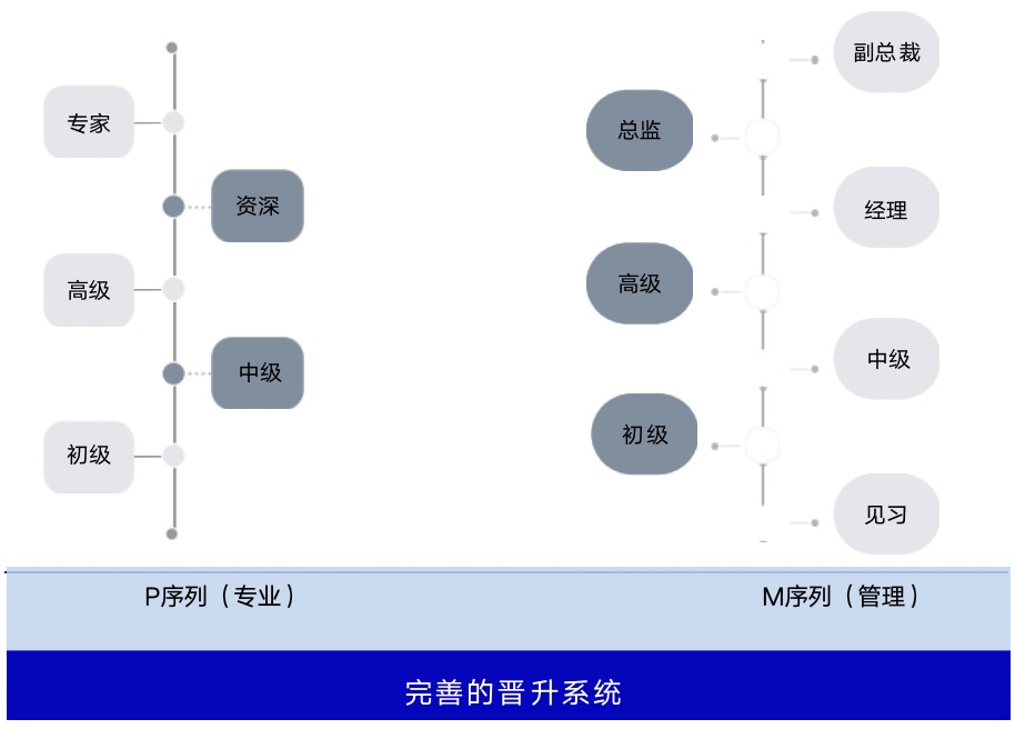 <p>专家</p> <p>总监</p> <p>副总裁</p> <p>资深</p> <p>经理</p> <p>高级</p> <p>初级</p> <p>中级</p> <p>高级</p> <p>初级</p> <p>中级</p> <p>见习</p> <p>P序列(专业)</p> <p>M序列(管理)</p> <p>完善的晋升系统</p>