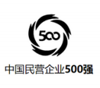 天双中国民营企业500强