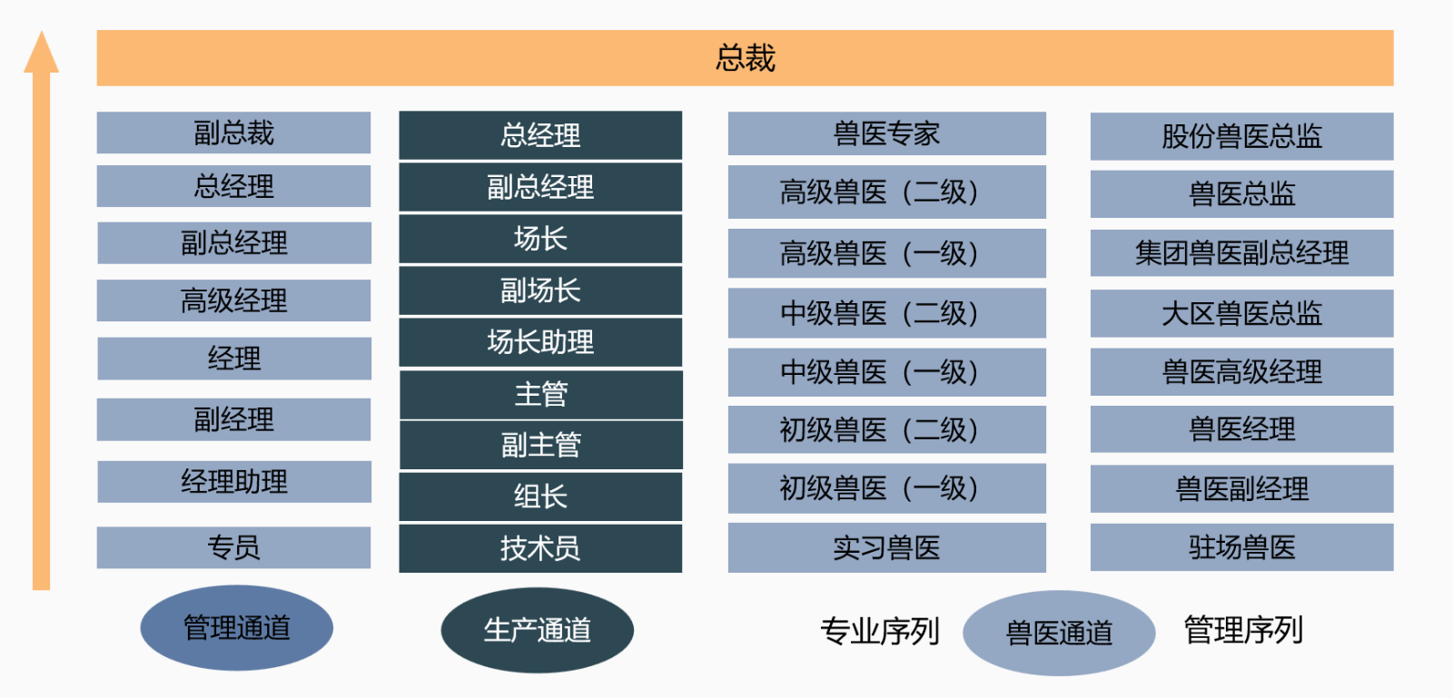 <p>总裁</p> <p>主管</p> <p>副经理</p> <p>管理通道生产通道专业序列</p>  <table> <tr><td>副总裁</td> <td rowspan="2">总经理</td> <td rowspan="2">兽医专家</td> </tr> <tr><td></td> </tr> <tr><td>总经理</td> <td>副总经理</td> <td>高级兽医(二级)</td> </tr> <tr><td>副总经理</td> <td>场长</td> <td>高级兽医(一级)</td> </tr> <tr><td>高级经理</td> <td>副场长</td> <td>中级兽医(二级)</td> </tr> <tr><td>经理</td> <td>场长助理</td> <td>中级兽医(一级)</td> </tr> <tr><td>经理助理</td> <td>副主管</td> <td>初级兽医(二级)</td> </tr> <tr><td></td> <td>组长</td> <td>初级兽医(一级)</td> </tr> <tr><td>专员</td> <td>技术员</td> <td>实习兽医</td> </tr> </table>