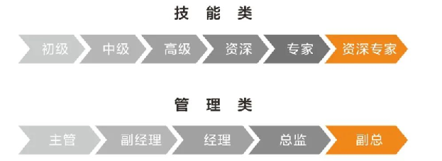 <p>技能类</p> <p>初级>中级>高级资深专家, 资深专家</p> <p>管理类</p> <p>主管副经理经理总监副总</p>