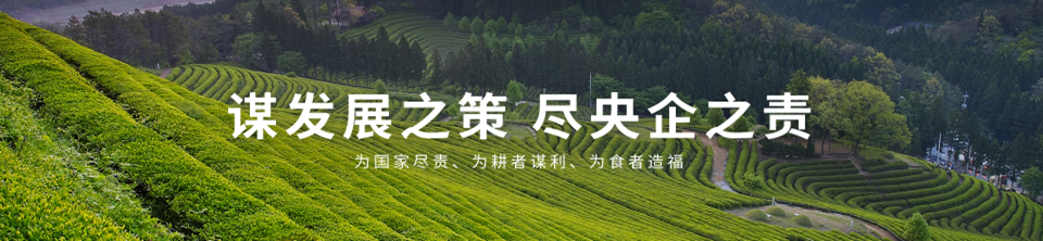 <p>谋发展之策尽央企之责</p> <p>为国家尽责、为耕者谋利、为食者造福</p>