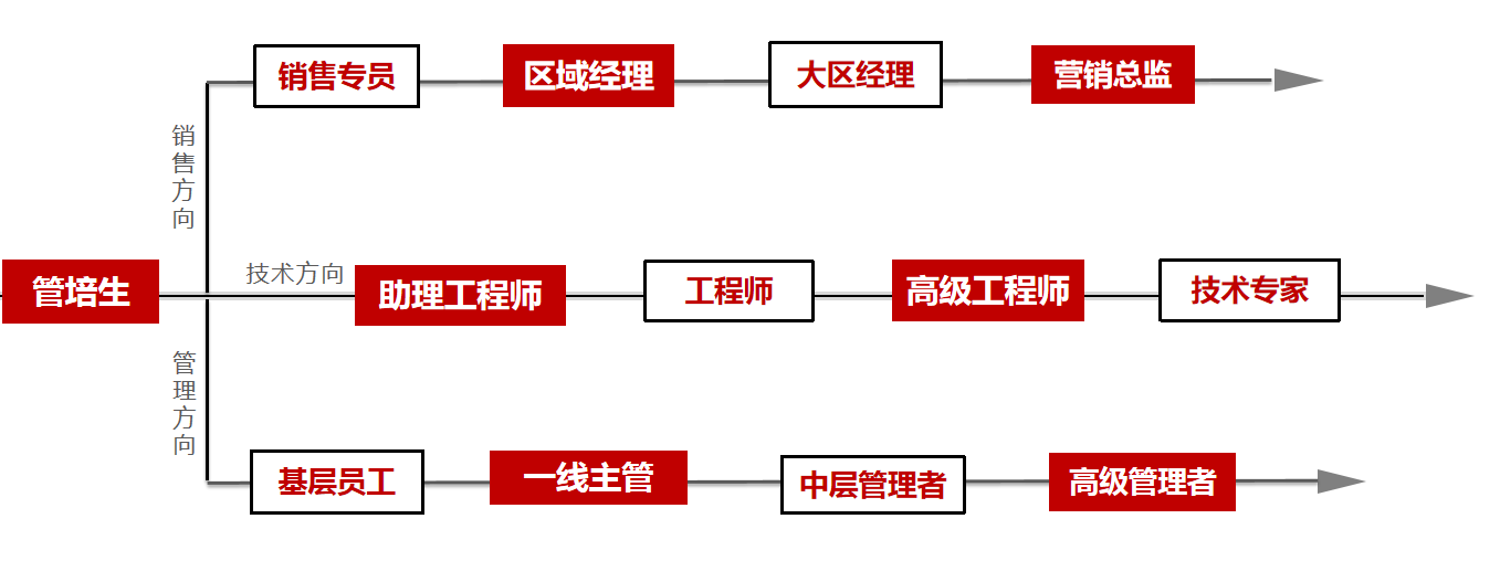 <table> <tr><td>销售专员</td> <td colspan="3">区域经理 大区经理</td> </tr> <tr><td colspan="4"></td> </tr> <tr><td colspan="2">技术方向助理工程师</td> <td>工程师</td> <td></td> </tr> <tr><td colspan="4"></td> </tr> <tr><td>基层员工</td> <td colspan="2">一线主管</td> <td>中层管理者</td> </tr> </table>