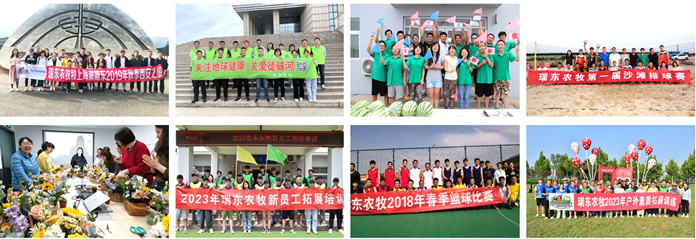<p>2101810746</p> <p>产原东衣花利上原测2019年种季西安2楼,关注地球健康关爱徒孩河瑞东农牧第届沙滩排球赛</p> <p>2023年小以教顺员工石员音调</p> <p>2023年瑞东农牧新员工拓展培训东农牧2018年春季盘球比赛派瑞东衣2年户外米晨拓展酒练 </p>