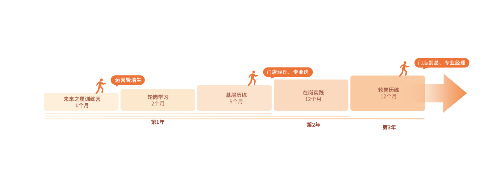 培养路径图.png