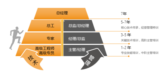 <p>总经理</p> <p>总工</p> <p>总监/总经理</p> <p>专家</p> <p>高级工程师<br/>高级专员</p> <p>技术</p> <p>经理/总监</p> <p>主管/经理</p> <p>管</p> <p>理</p> <p>7年</p> <p>5-7年</p> <p>核心技术传承，经营管理特训<br/>3-5年</p> <p>关键技术培训，高阶主管培训<br/>1-2年</p> <p>专业技能培训，中阶主管培训</p>