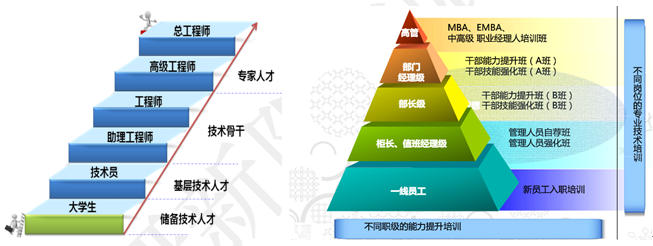 建立了管理职,专业职,技术职职业发展通道,目前中高层管理人员90%以上