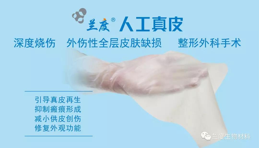 人工真皮.jpg