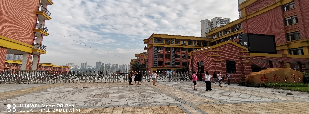 重庆市九龙坡区蟠龙小学