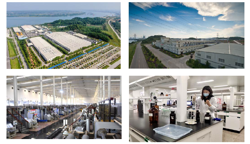 宜都东阳光化成箔有限公司