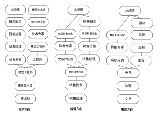 茂硕职位晋升表 png