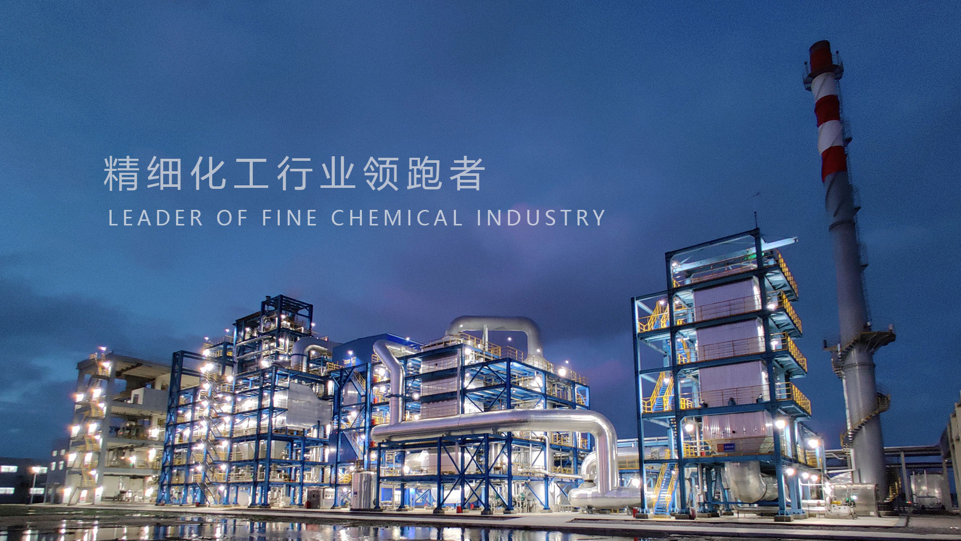 浙江新和成股份有限公司