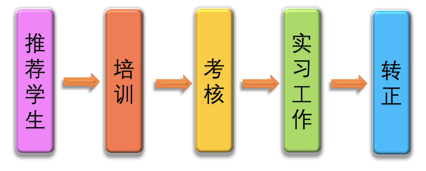 实习岗具体介绍(1)岗位:分