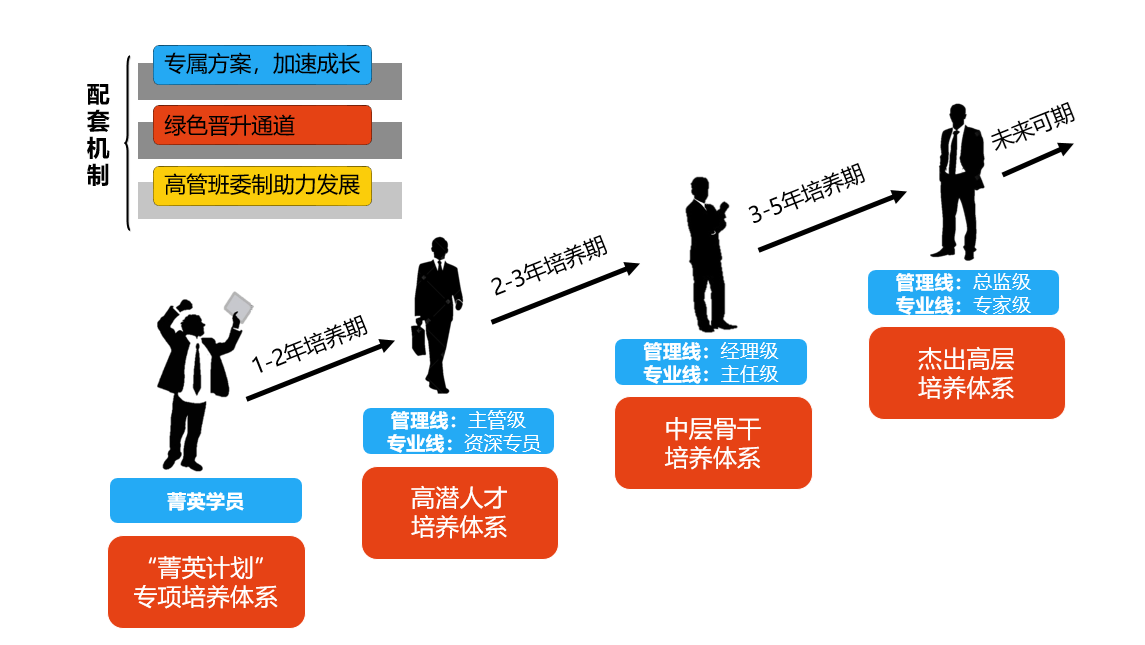 绿色晋升通道:清晰的成长路径图,持续的成长关注和专属绿色晋升通道,5