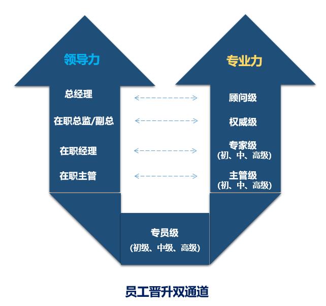 专业培训和成体系的轮岗学习,优化人才管理机制,打通员工晋升双通道